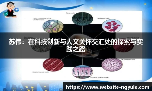 NG娱乐网址