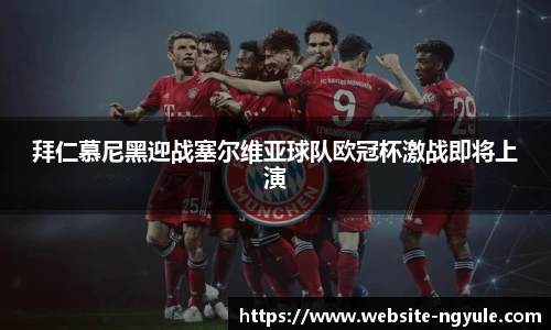NG娱乐平台